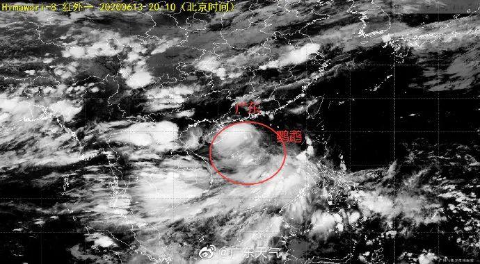 鹦鹉台风最新动态，共筑安宁家园