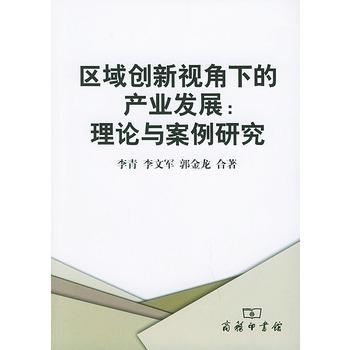 企业案例分析新视角