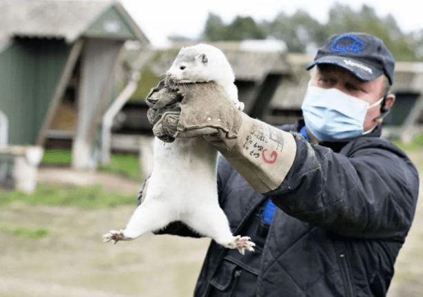 虞海燕最新动态揭晓