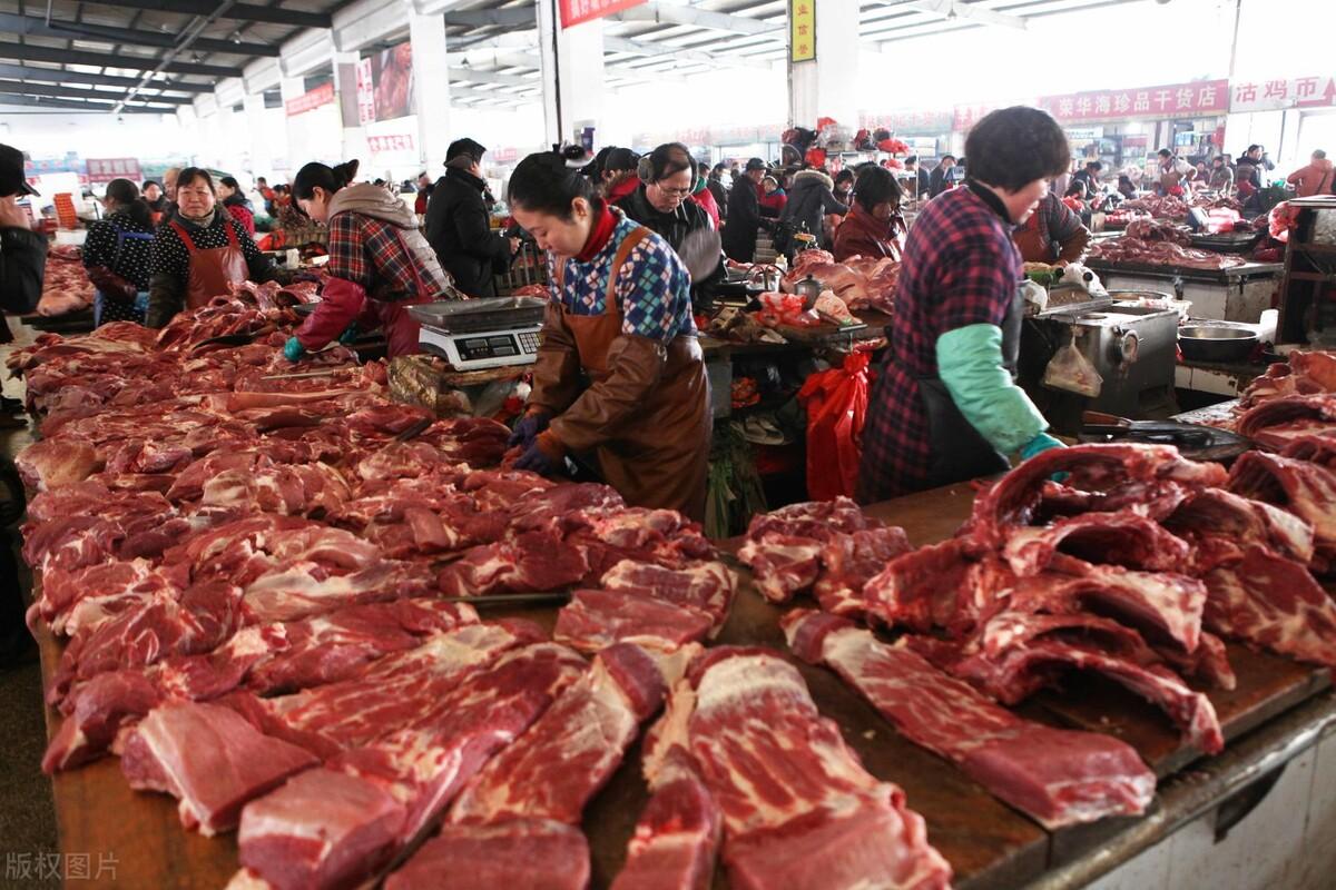 广东生猪市场迎来喜讯，今日价格看涨新篇章