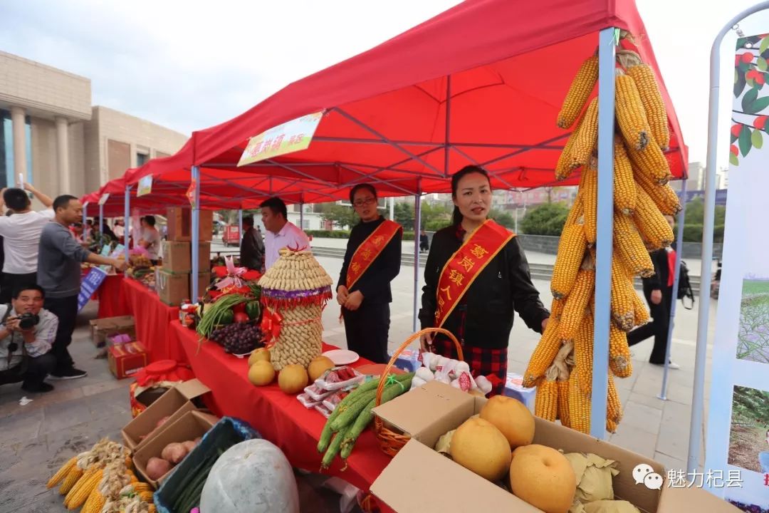 杞县大蒜今日丰收，市场行情喜人展望