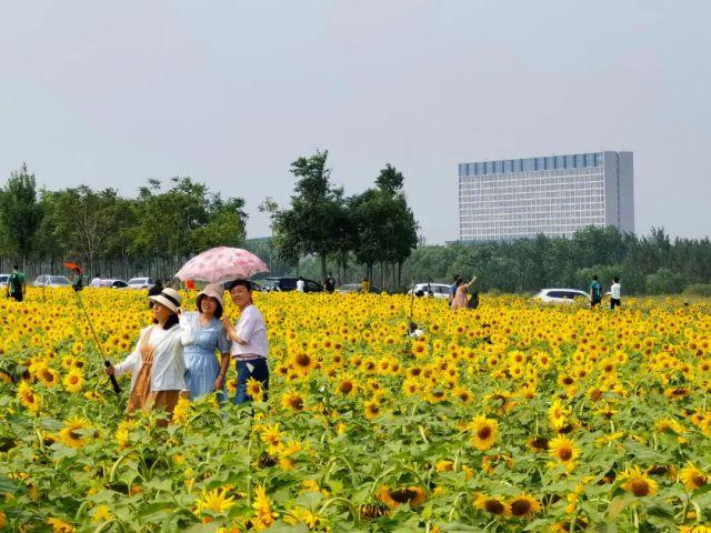 “黄花机场焕新三跑道，未来可期，梦想启航”