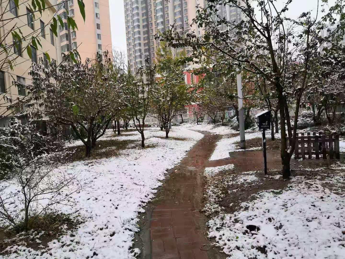 飘雪轻舞时：雪落微扬倾情力作最新篇章