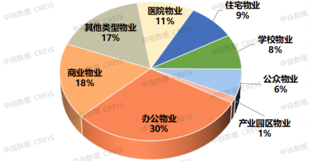 黑影猫踪