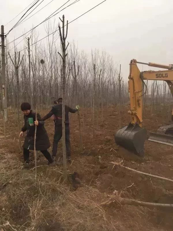 盐山动态资讯速览：新鲜热点一网打尽