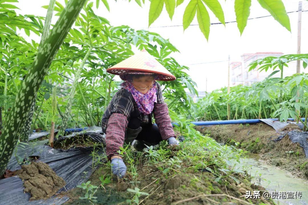 情感自律之路