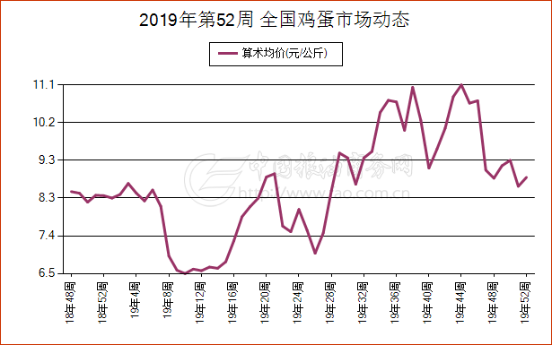 今日鸡蛋市场价格实时动态一览